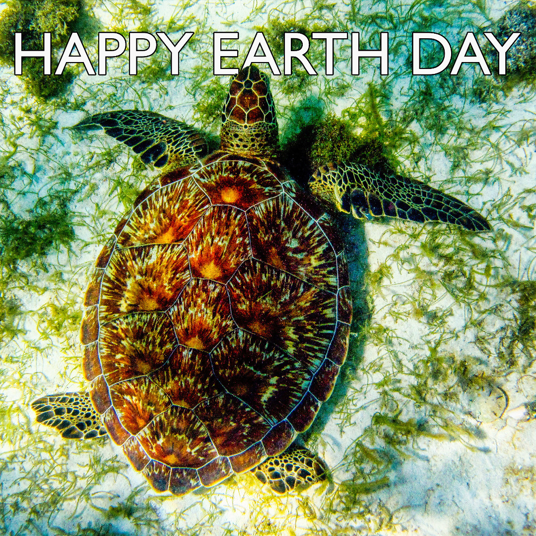 Saving our planet would really mean the world to me.
#EarthDay