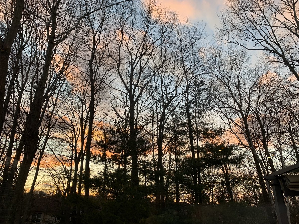 TenarowsTee's tweet photo. #earthday 🌎 https://t.co/kv1wiXT4mH