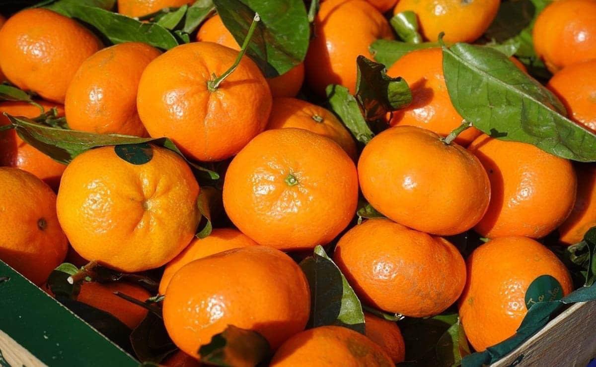 fernandezsg14's tweet photo. Se viene la época de comer esto al solcito https://t.co/5uC8P2hMxV