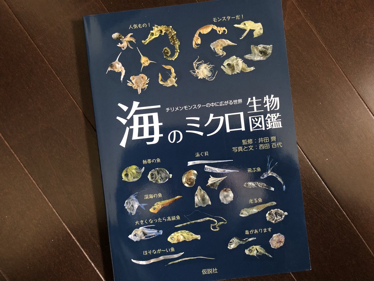 YETI_RAINMAN's tweet photo. 📚井田齊/西田百代『海のミクロ生物図鑑』(仮説社)
いわゆるチリメン、シラスなどに紛れ込むイワシ類の稚魚以外の外道を集めた図鑑。自分もチリメンモンスター探しが大好きなのだが、この本のおかげで種類の同定が楽になることは間違いない。これは必携の一冊だ！ https://t.co/SrSnBkm8Zl