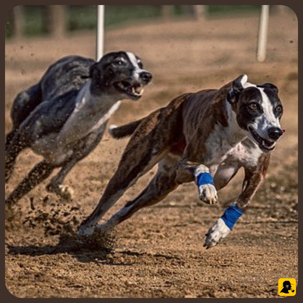 buongiornodigi1's tweet image. Rallentare per riflettere potrebbe essere la scelta più saggia che possiamo fare, sia a livello personale che professionale.

Prova anche tu a fare un passo indietro e a osservare il mondo con occhi nuovi!

#buongiornodigitale 
#digital #marketing #branding  #contentcreator