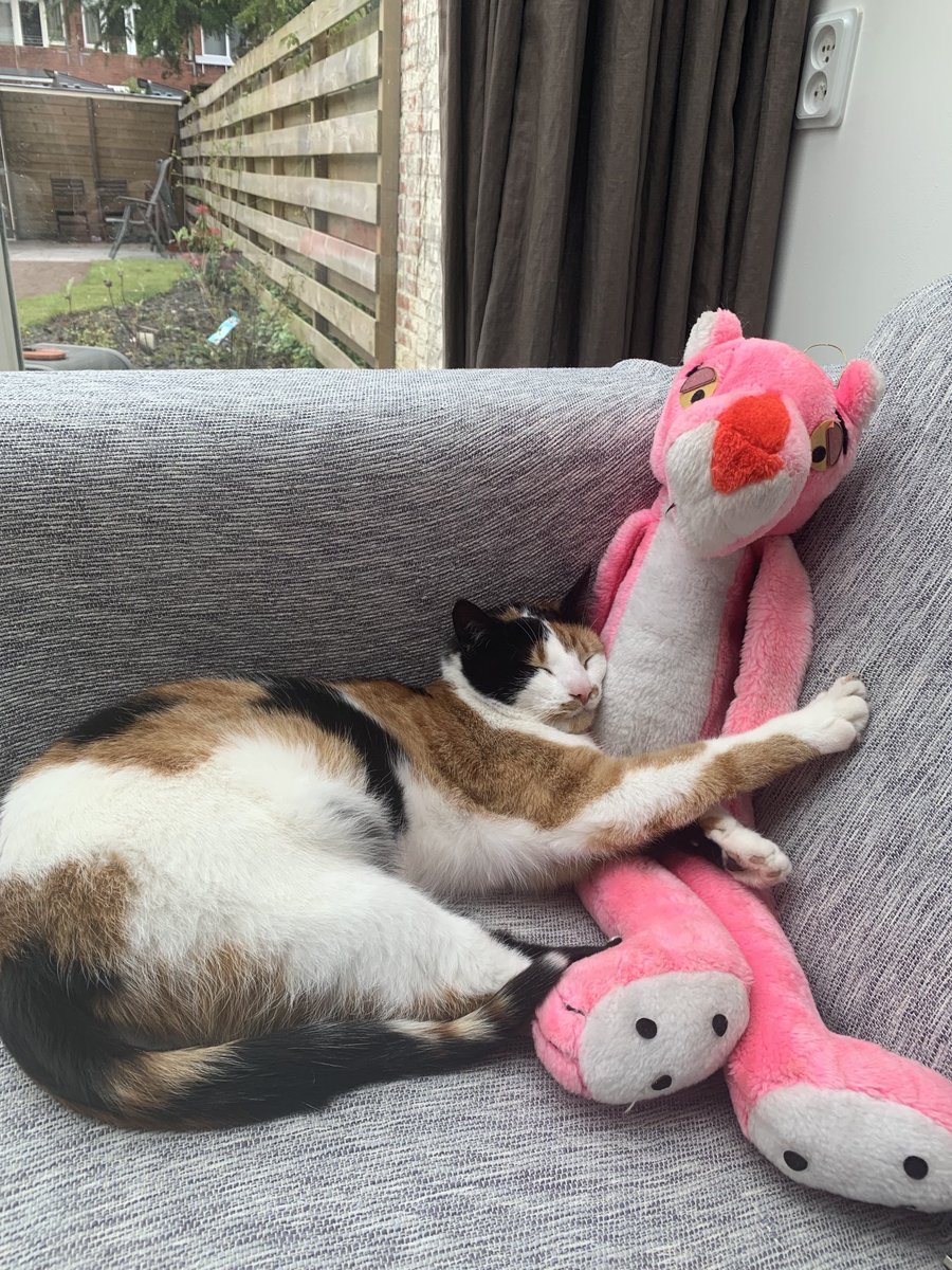 Zusje met haar knuffel ❤️