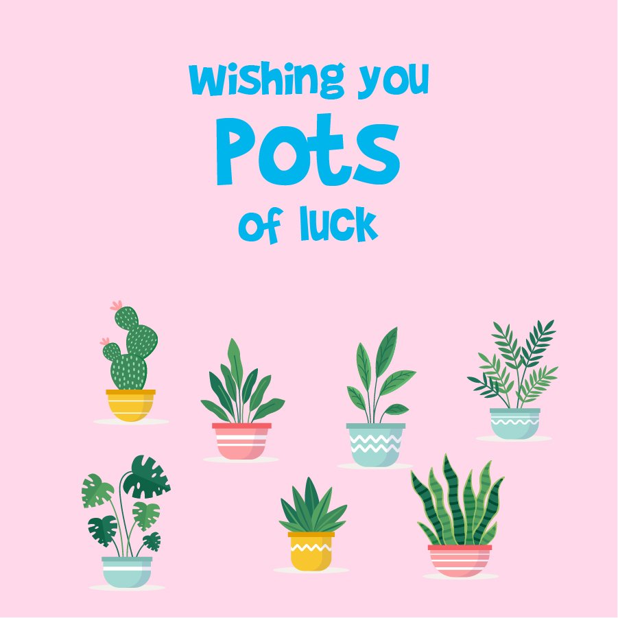 Bold Unbold Design Co. tweet media