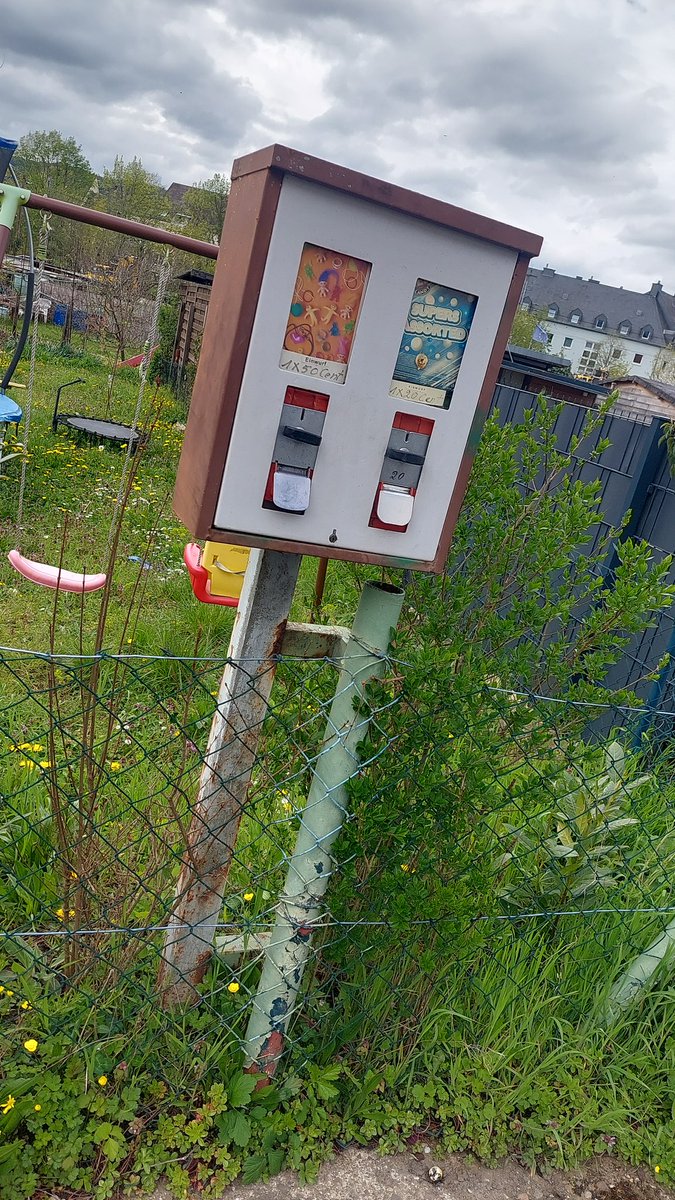 AllroundFact's tweet photo. Schon ewig nicht mehr gesehen 

#Nostalgie https://t.co/HFyuIaxUlE