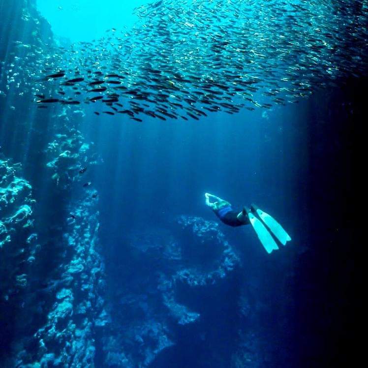 Happy Earth Day 2023! Dream vacations become reality in this remote Pacific nation, where our guests witness the first sunrise in the world every single day, breathing in the freshest air on the planet. Sailing through an exquisite archipelago, we explore an underwater wonderland