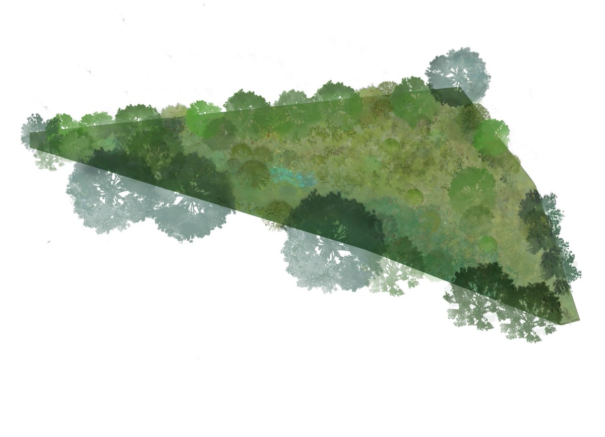 Tessa Tricks tweet media