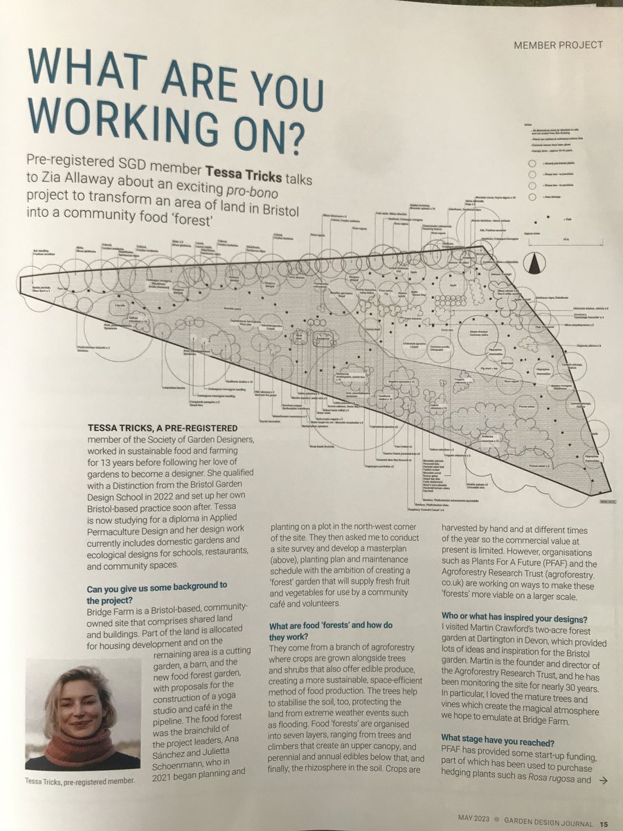 Tessa Tricks tweet media