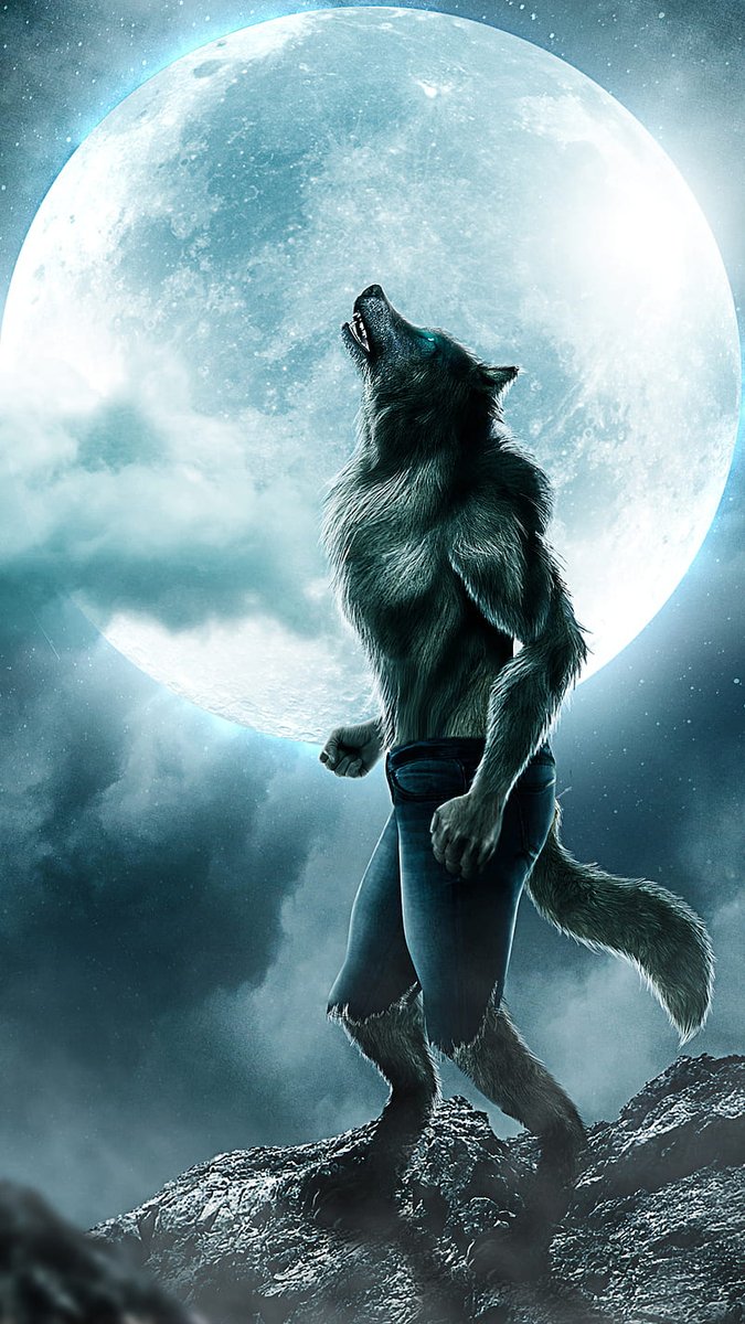 Wer von euch ist Schuld an den ganzen Furry Posts auf meiner For You Page? WER!?!?
