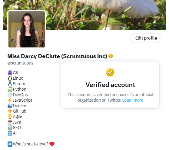 Darcy DeClute | Scrum | Python | GitHub | Java | X tweet media
