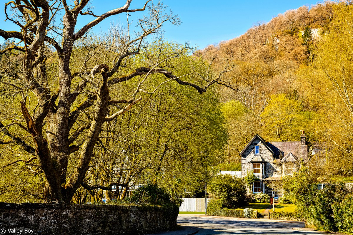 BJRoberts's tweet photo. Eryri in April, opposite Betws-y-Coed's Grove House from the Conwy Valley Line railway bridge - on Old Church Rd. @Ruth_ITV @ItsYourWales @northwaleslive @northwalescom @AllThingsCymru @OurWelshLife @NWalesSocial #Eryri #BetwsyCoed #OldChurchRd #GroveHouse #ConwyValleyLine #Wales https://t.co/nVo7LqJaBA