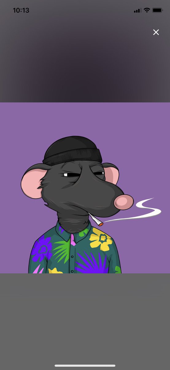 Abk_Sensei23's tweet photo. @kavashark @fatratmafia #cheesee 🐀🧀🦾 https://t.co/h89vnHhgoz