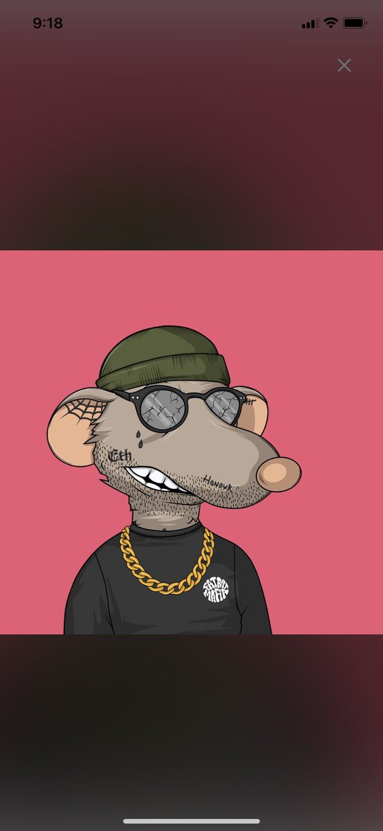 Abk_Sensei23's tweet photo. @kavashark @fatratmafia #cheesee 🐀🧀🦾 https://t.co/h89vnHhgoz