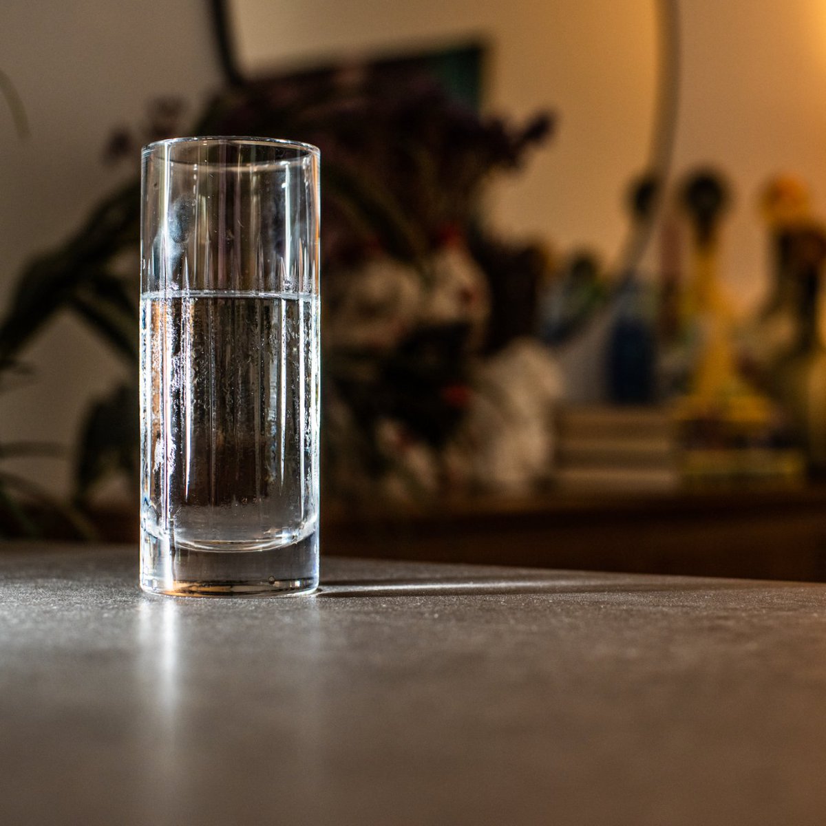 🌎 Happy #EarthDay! 🌎 Wisewell users have kept thousands of plastic water bottles out of landfills and oceans. Thank you for saving the planet one sip at a time! #earthday2023