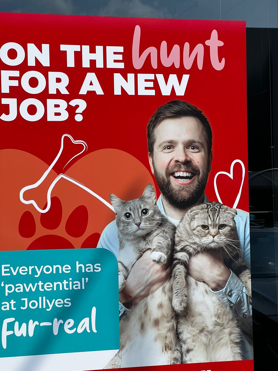 MalcM's tweet photo. I hope @Jollyestweets take a look at @BritishVets guidance for the responsible use of animals in advertising. Please don't use animals with physical characteristics that negatively impact on their health. Scottish Folds &amp; brachycephalics are a poor choice! https://t.co/0zl4DBcGHw https://t.co/Mj2sMa8gzK