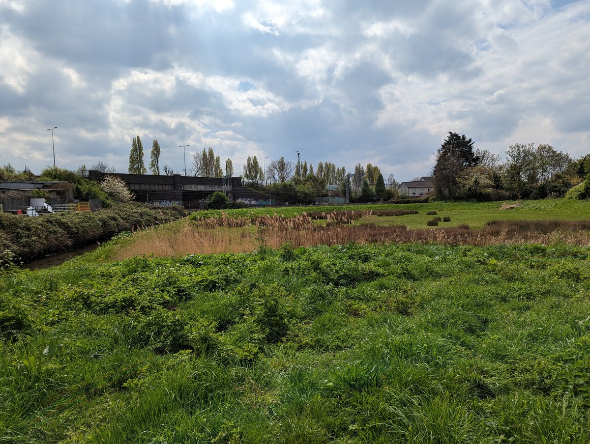 YourRBI's tweet photo. Walking the Mayes Brook today, looking for issues and opportunities ๐ #RBICP https://t.co/NChRRxRkNI