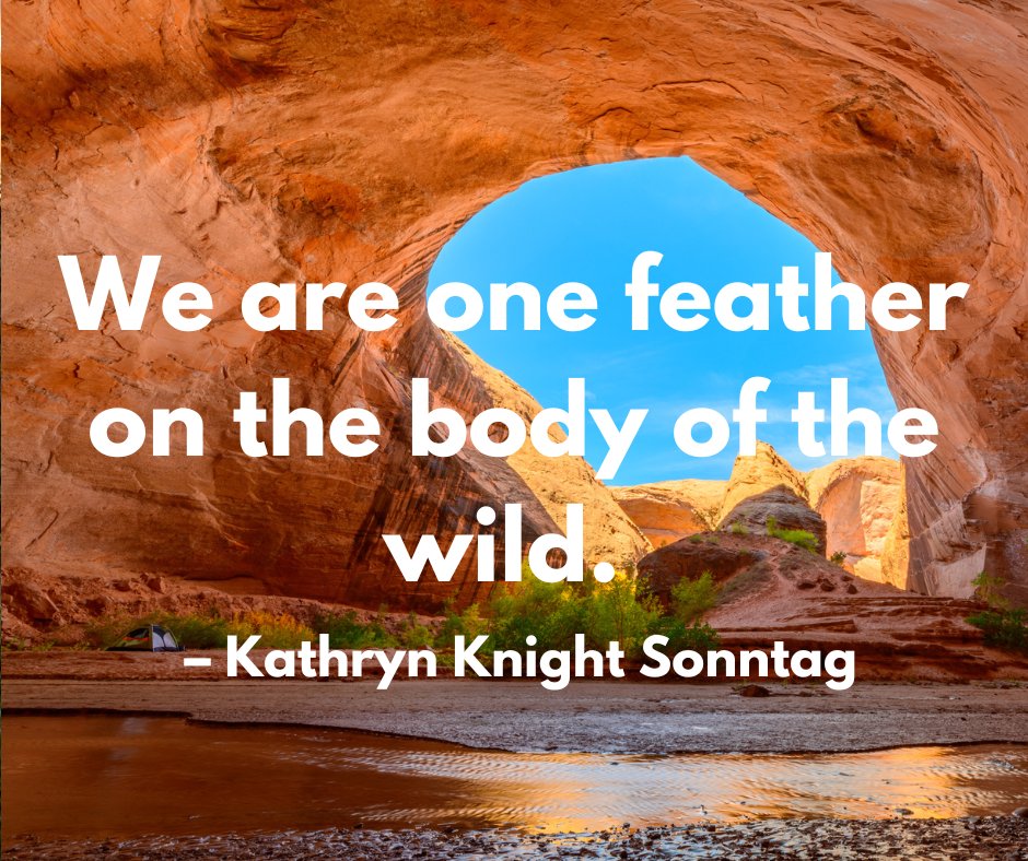 🌍 Happy Earth Day!