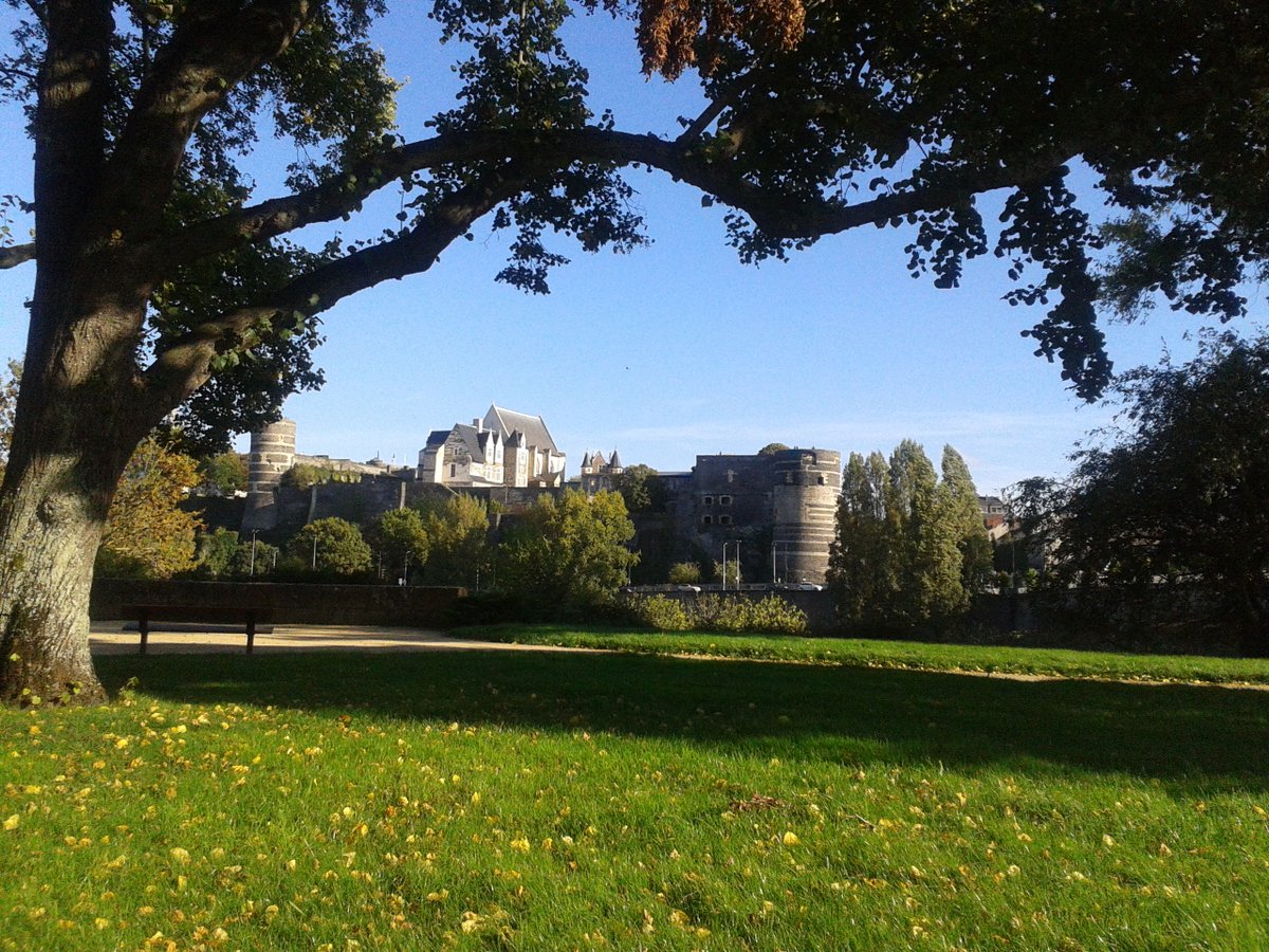 Ve_Bouchard's tweet photo. Du vert pour le Jour de la Terre #Angers 🌍💚 #Journeedelaterre https://t.co/AgEsNflA3t