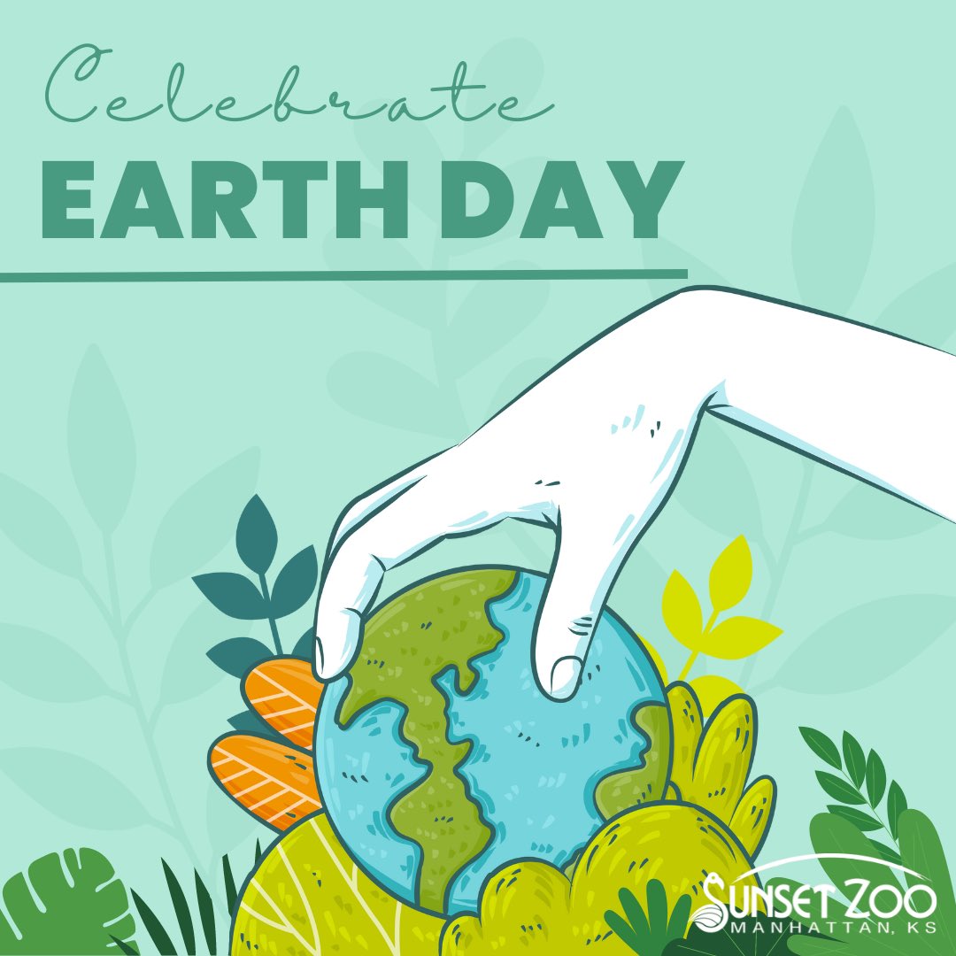 Sunset Zoo (sunsetzoo) / Twitter