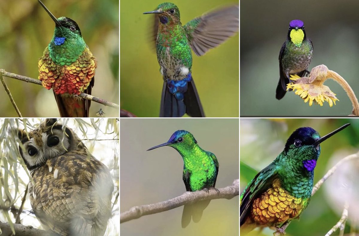 #DíaDeLaTierra ¡Pachamama!

Encontrarás significado en la naturaleza cuando la escuches, observes y la valores 

#DiaDeLaTierra #EarthDay #DiaDeLaTierra2023