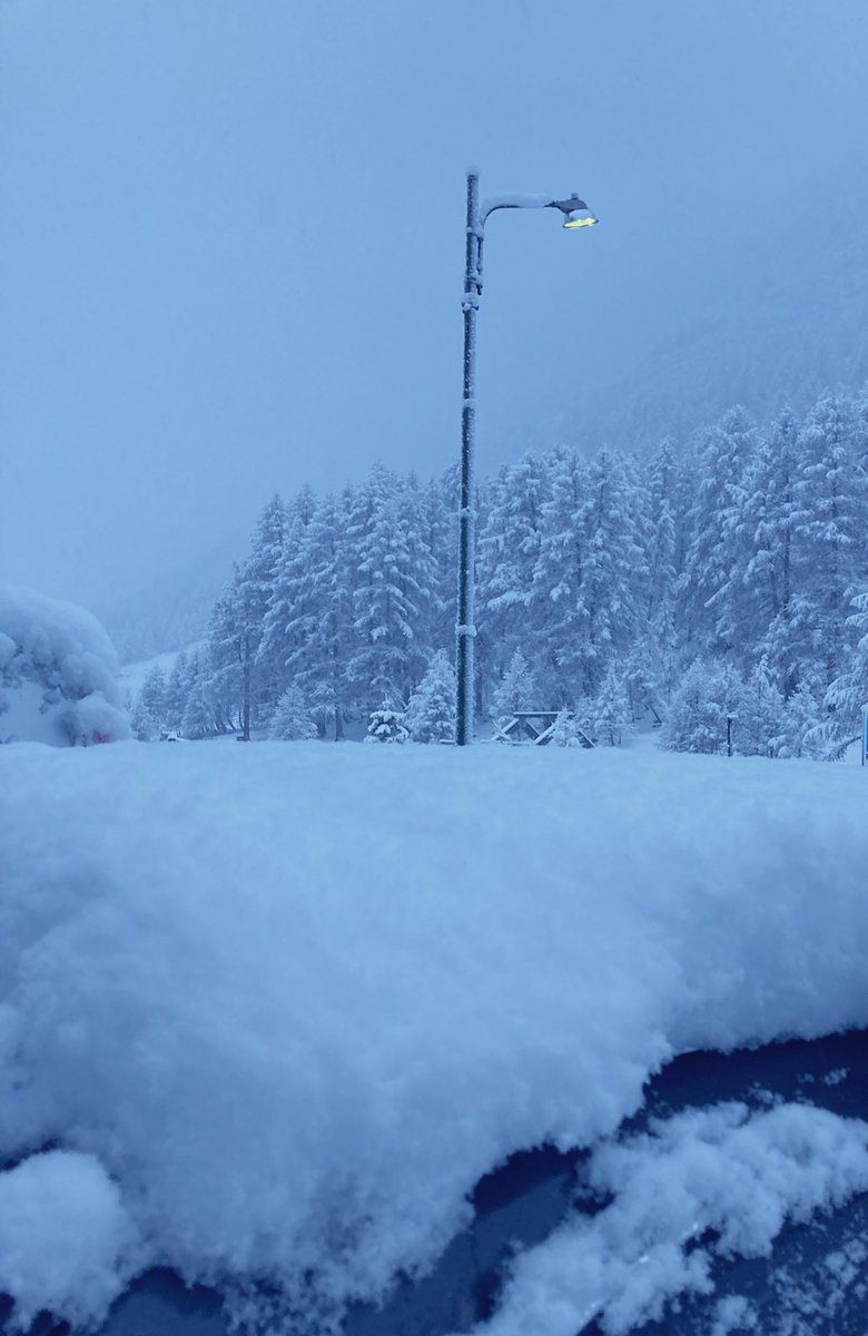 Anton Sintsov tweet media