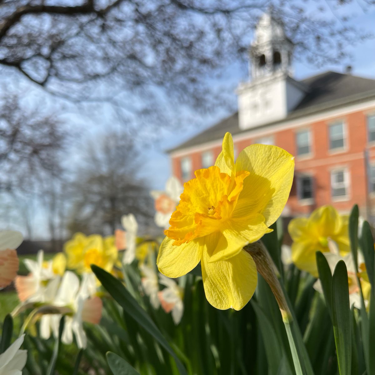 Houghton University tweet media