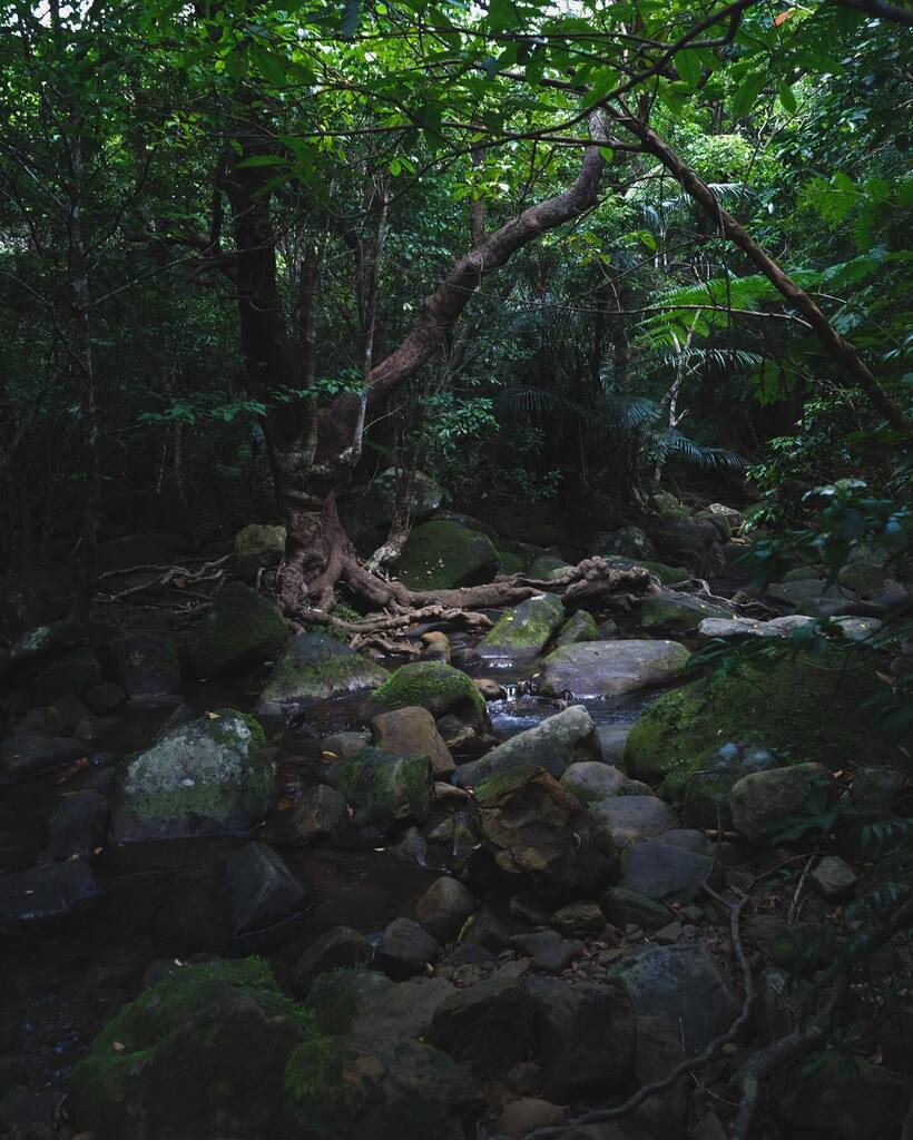 tuddyhopper's tweet photo. お日柄は良し。
北風は強し。

#iriomote #adventure #islandlife #gogreen 
#aweofnature #yaeyama 
#okinawa #backpackinglight #snapgram #FullnessWithAdventure https://t.co/zY9NP2THIG