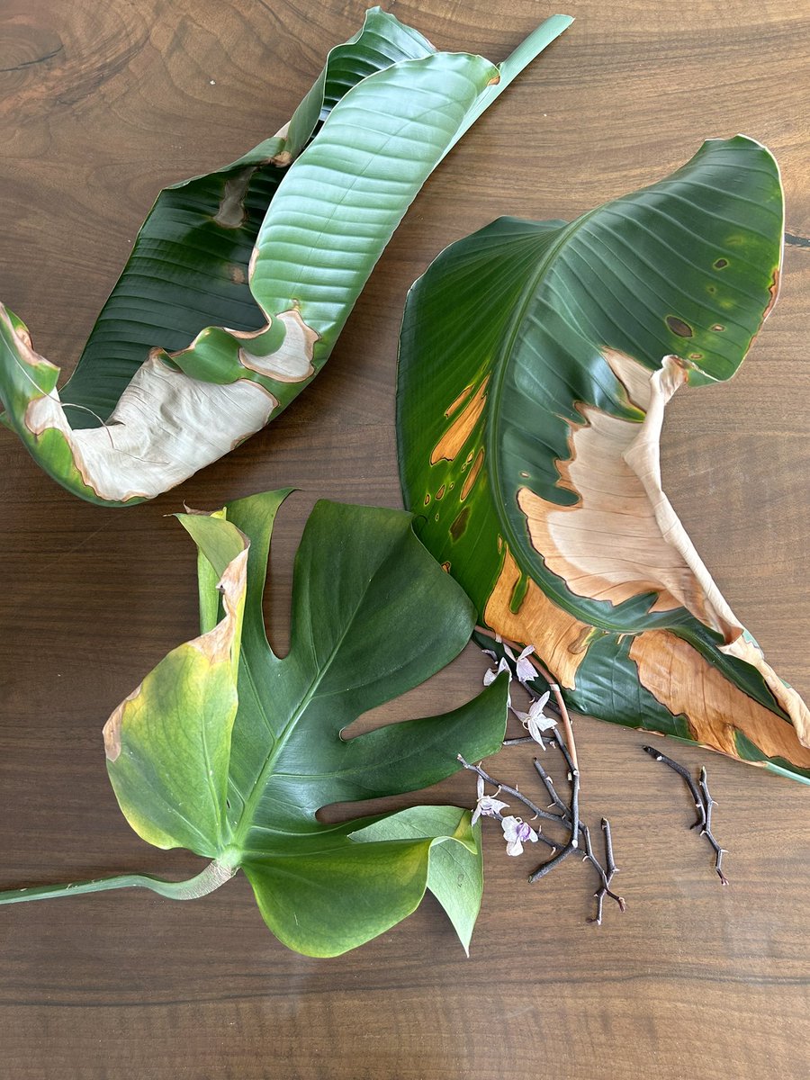 cleaning day #spring