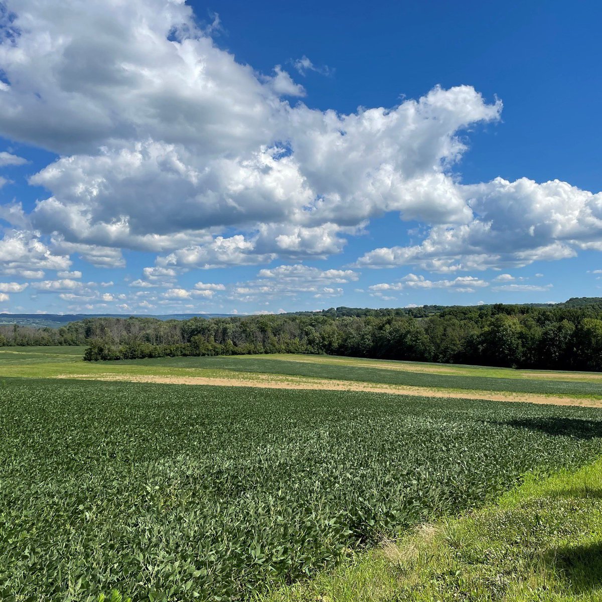 nyagandmarkets's tweet image. Happy #EarthDay! Agriculture goes hand in hand with environmental stewardship, which is why we at the Department are proud to do our part to achieve New York’s climate goals and  preserve our world for future generations. #EverydayisEarthDay #EarthDay2023 #EarthWeek