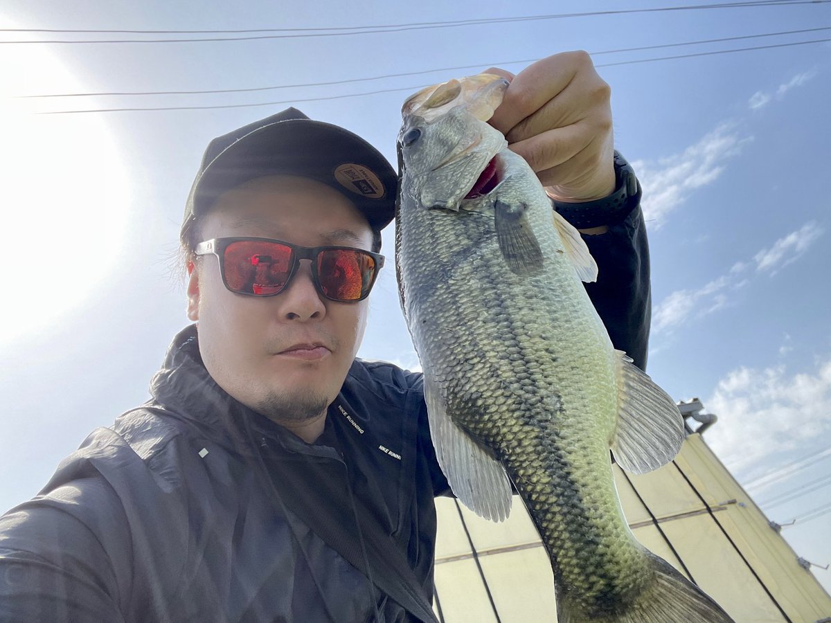 anchang1983's tweet photo. 霞で今年初バスGET！

中小合わせて6匹🐟

はい楽しいぃ～♪疲れた… https://t.co/mDol1HtPJ6