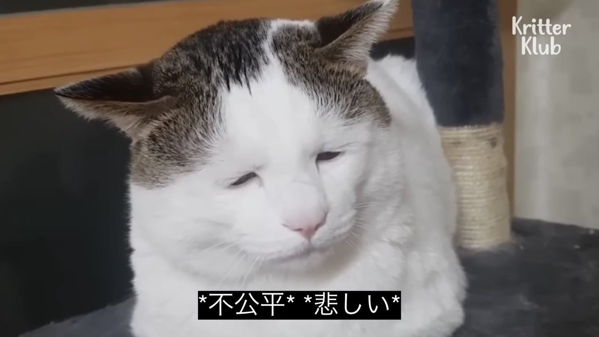 TOOOOOOG2's tweet photo. @maimaimahya https://t.co/FP1hvlNGlC