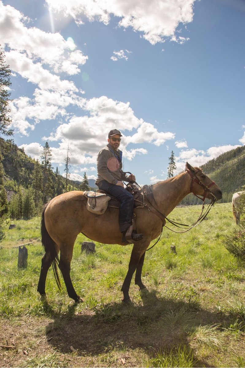 jimmykimmel's tweet image. This land is your land, this land is my land, this land belongs to horses too… protect and cherish it. #EarthDay