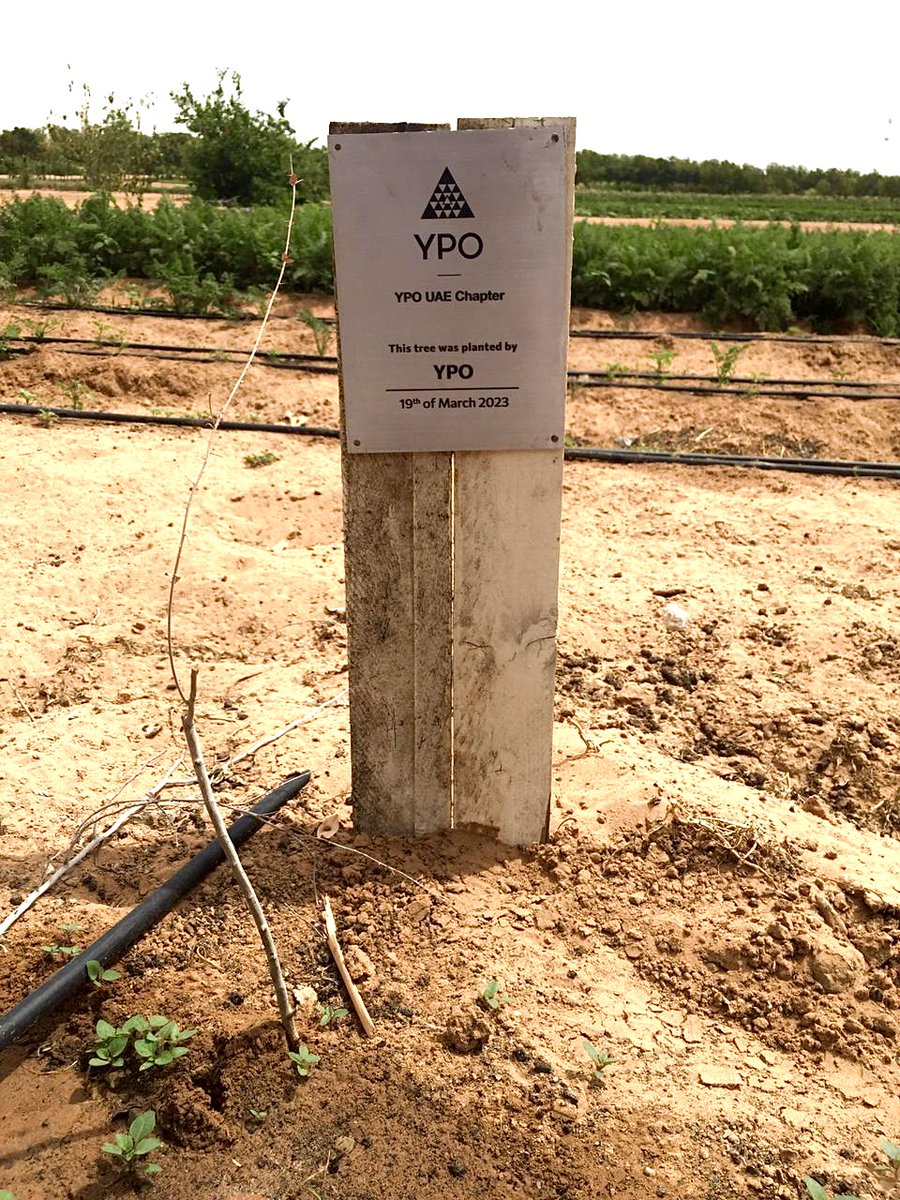 ypomena's tweet photo. What better way to celebrate #EarthDay than attending a family event at BIOFARM promoting #sustainability and #healthy living? #YPOUAE members had a fantastic time planting their own YPO UAE Ghaf tree.
Let's keep the momentum going and make every day Earth Day! 🌍💚 https://t.co/1WW8EXC816