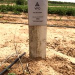 Photo by YPO Middle East/North Africa (@ypomena)