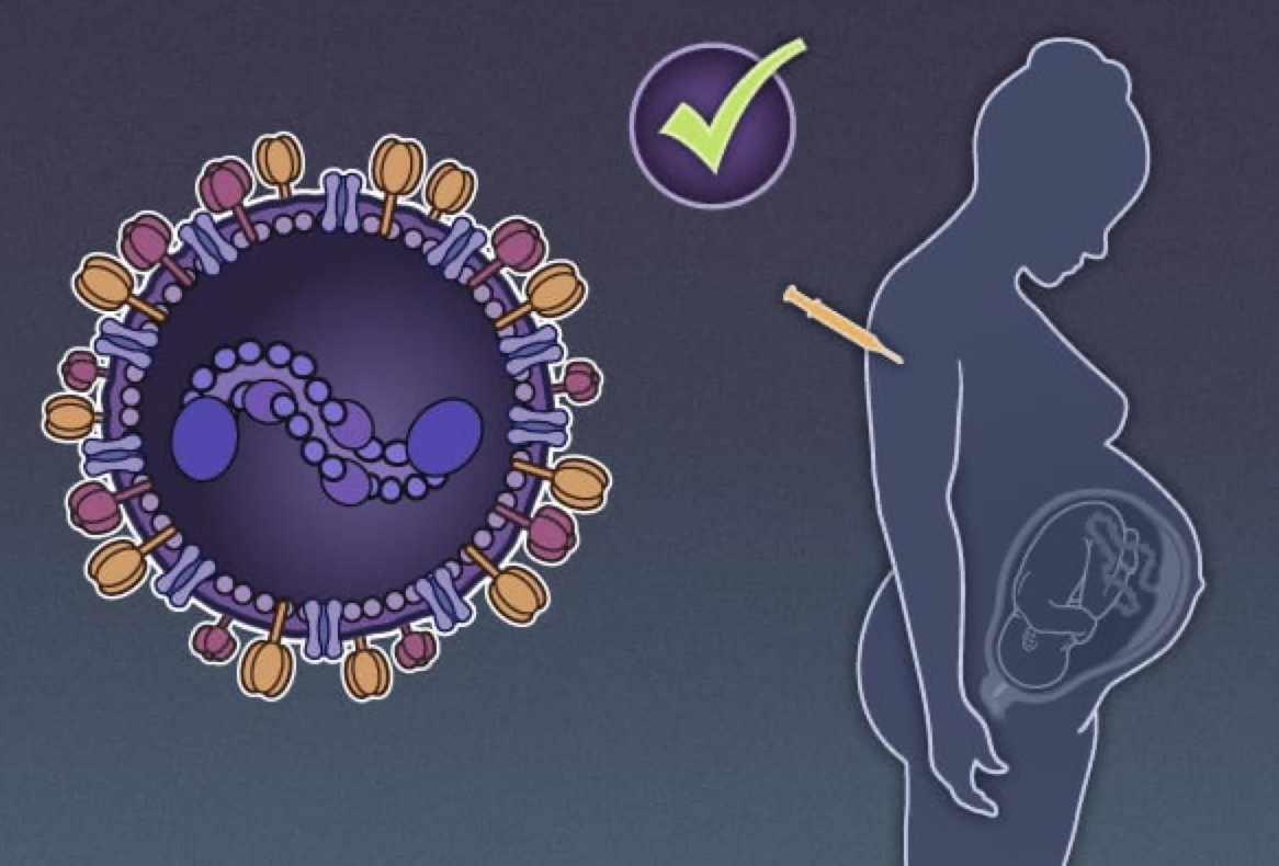 Phenomics_J's tweet photo. Check out this #phase3 study of Bivalent Prefusion F caccine in pregnancy to prevent #respiratorysyncytialvirus (#RSV) illness in #infant
#phenomics #RSVpreF #vaccine @NEJM

https://t.co/Dmnjza9ayJ https://t.co/j4faKPDgpK