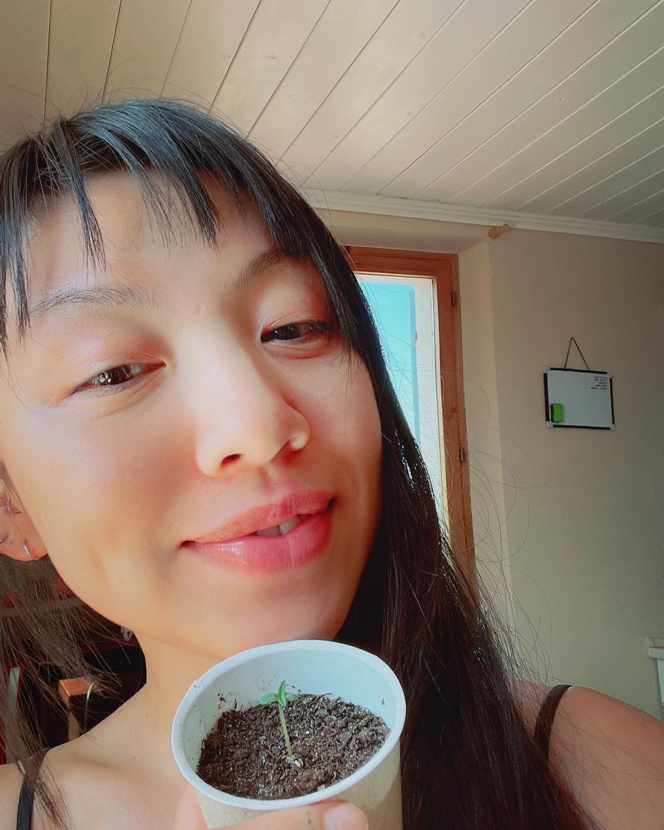 Fifirong eth On Twitter Gm Happy Earth Day Plant Some Trees fifirong-eth-on-twitter-gm-happy-earth-day-plant-some-trees