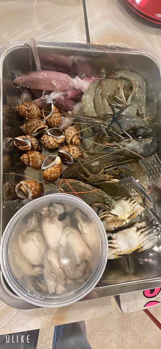 相信嗎？ 吃到飽海鮮🦞 不到 300泰銖😚😚😚 冰塊🧊也是  真是划算。Yummy 
#อร่อยบอกต่อ 
#yummy 
#泰式料理 
#Thailand https://t.co/QXbT8k4Fkf