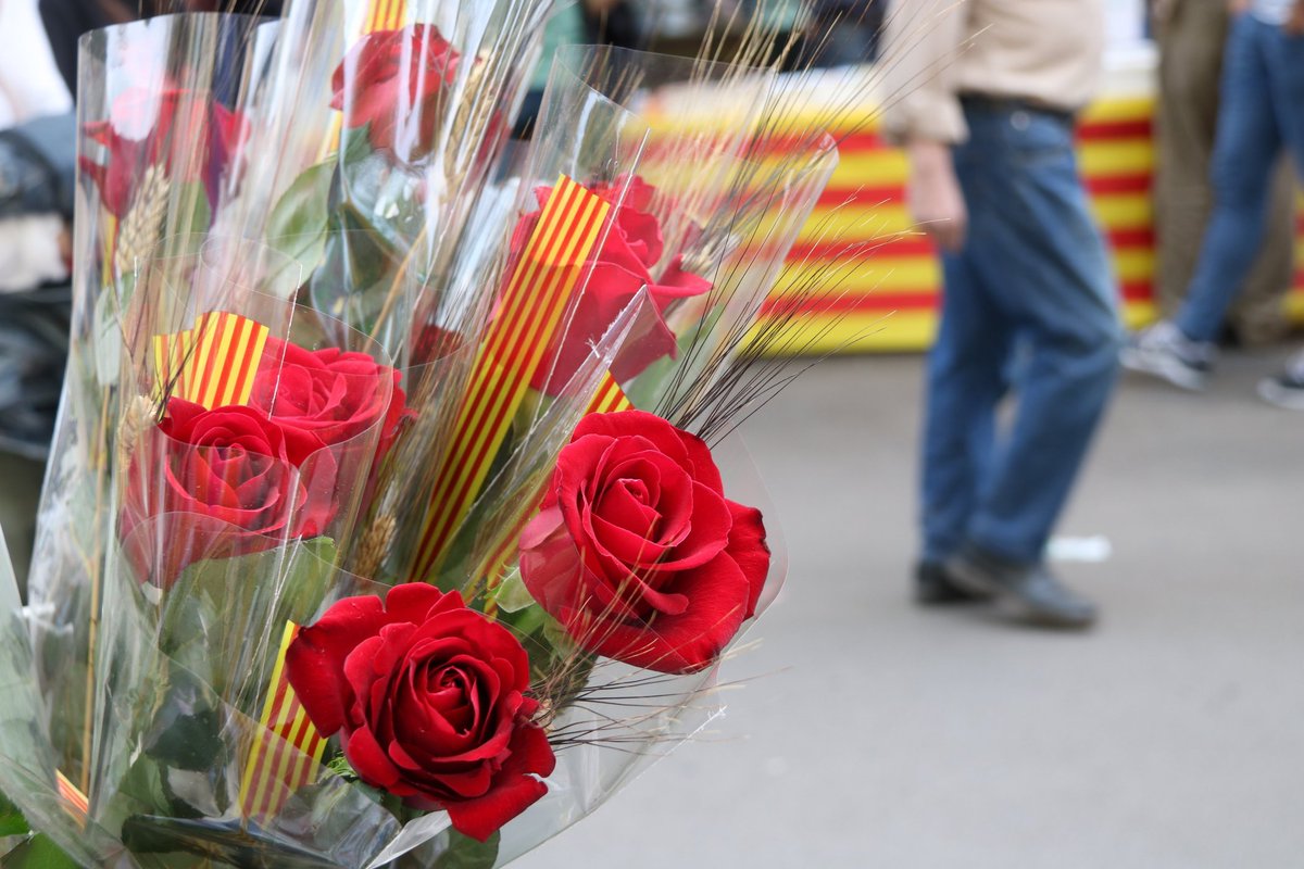 CLxR_Baix_Camp's tweet photo. Bon Sant Jordi. Disfruteu del dia. Visca Catalunya! https://t.co/WMR7sLKLEh