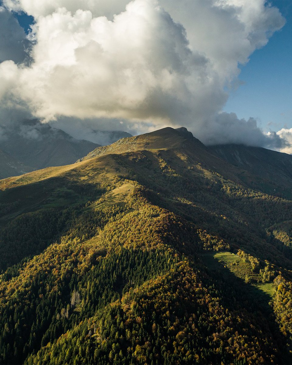 For over a century, the ZEGNA family has taken care of the restoration and protection of Oasi, Zegna that today includes over 500,000 trees and counting— serving as a set of values that promote harmony between people, manufacture and nature. bit.ly/3GSrRNV