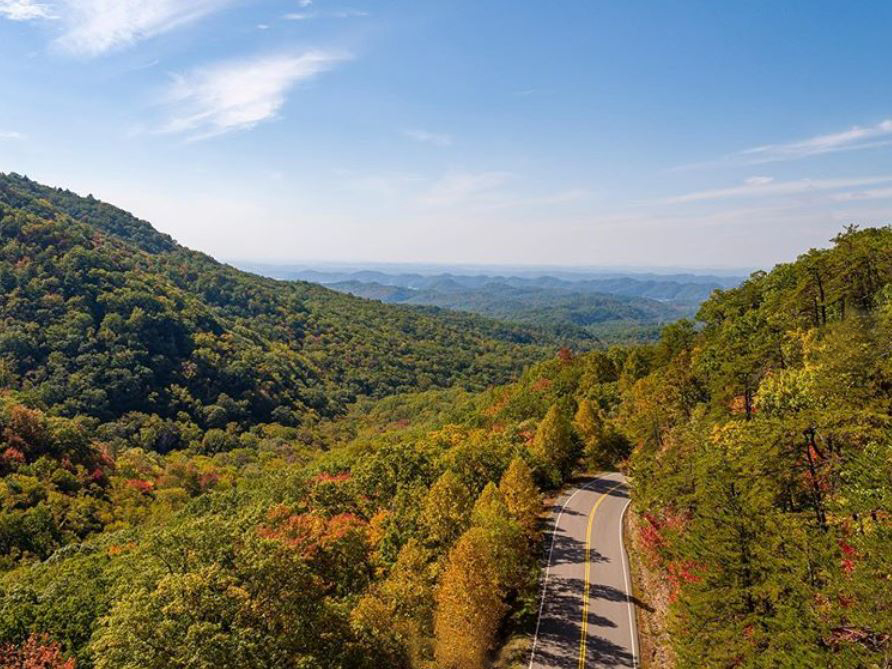 Discover Bristol tweet media