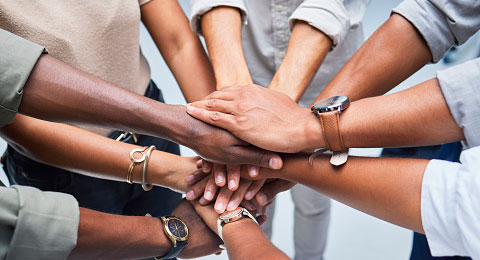 +Diversity tweet media