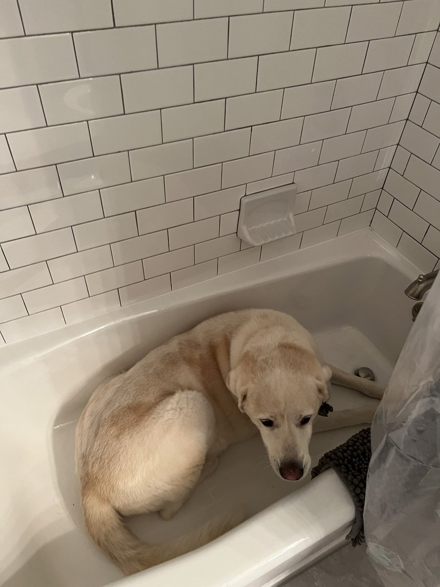 tgoodwin70's tweet photo. @Kamries_dad Hey brother it will be okay, storm is almost done… https://t.co/7uUcE8qJLw