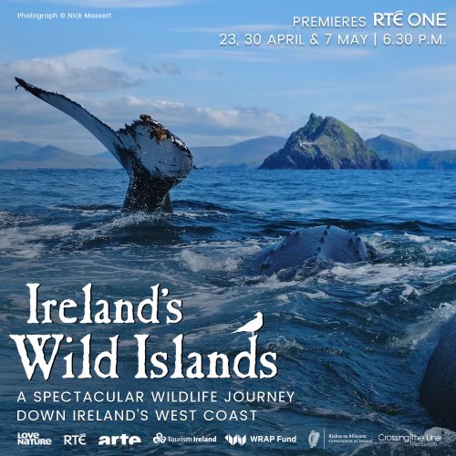 donegalclimbing's tweet photo. @CTLFilms ‘Ireland’s Wild Islands’ goes to air this Sunday on RTÉ 1 at 6.30pm - it will be truly spectacular! #Inishtrahull #Donegal @wildatlanticway @deric_tv @JoannaDonnellyL @barrabest @poloconghaile @Irishwildlife @BaskingIrish @FailteIntMedia @govisitdonegal @RTENationwide https://t.co/k11gA7tEXV
