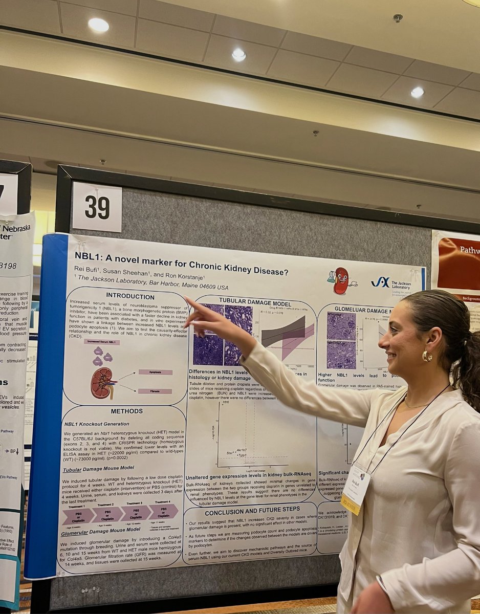 rei_bufi's tweet photo. So excited to share my most recent work from @jacksonlab at the #physicianscientists meeting, and to connect with peers and mentors in the MD/PhD community @JointMeeting 🧬👩🏻‍🔬 https://t.co/dsjAQHZEFm