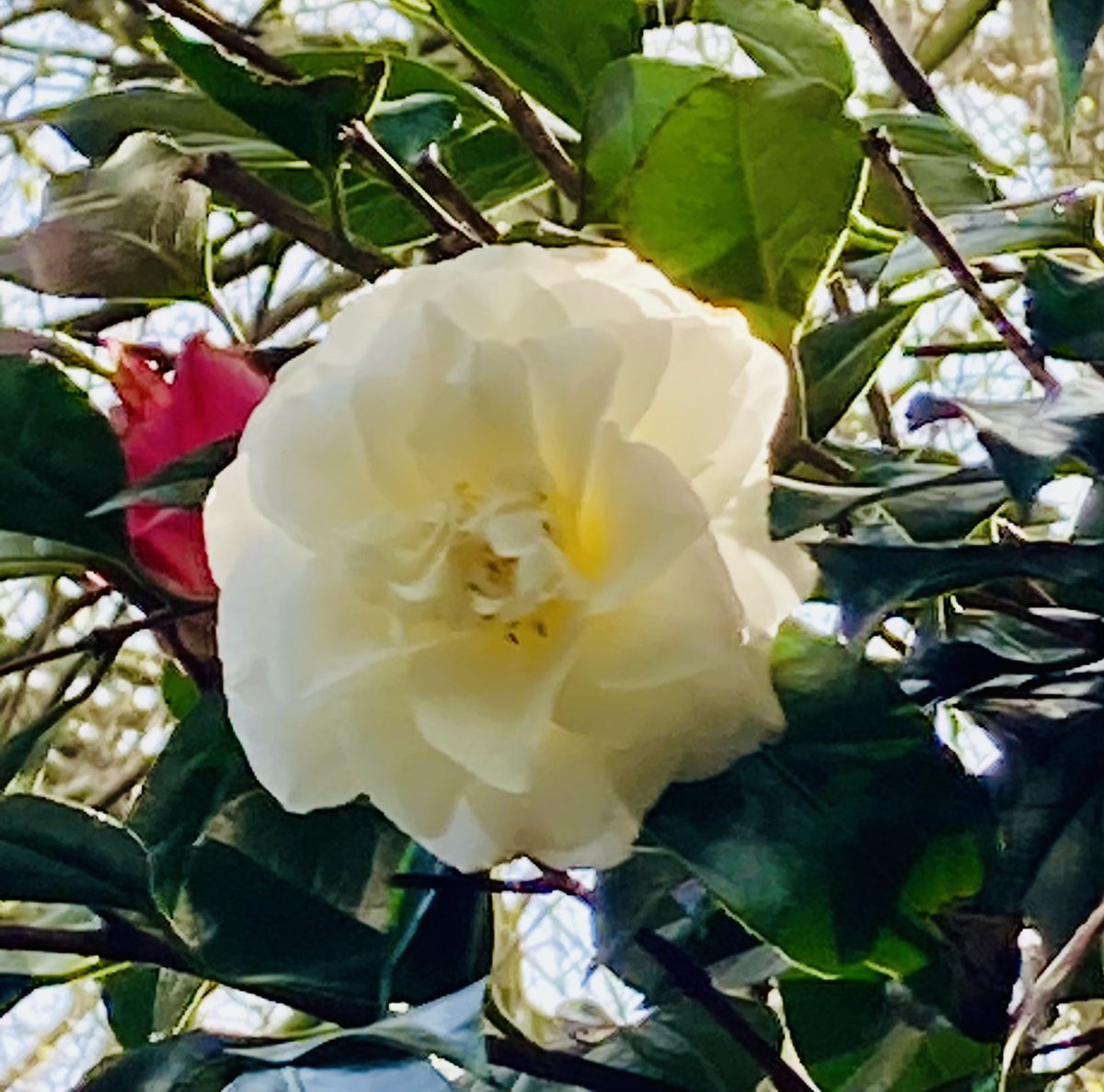 HilaryBurrage's tweet photo. Earth Day https://t.co/5EEiTk9wSA