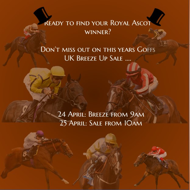 BrzUps's tweet photo. Find your next Bradsell, Perfect Power or A'ali @GoffsUK 
 
Pre Breeze Sunday 23rd April 7AM 
@DoncasterRaces 
Main Breeze Monday 24th April 9AM @DoncasterRaces 
Sale Tuesday 25th April 10AM
#buybrzups #buywinners #buyquality #buyvalue https://t.co/BcfUUqKutE