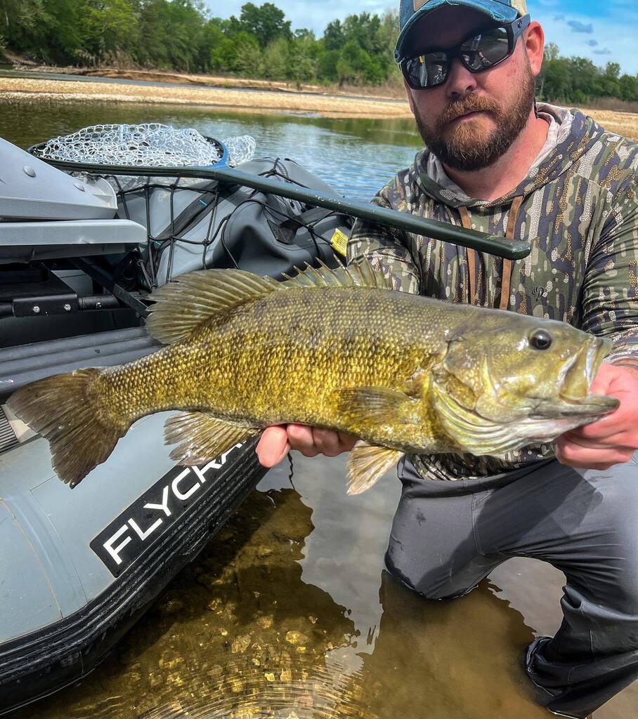 fwofishing's tweet photo. On the boards—
first of the seasons floats on an Ozark stream, and a hell of a start. 
Great day out with @smallmouthchronicles 
•
•
•
#fogwateroutdoors #flyfishing #ozarks #smallmouthbass #smalliesonthefly #smallmouthchronicles #warmwaterflyfishing #flycraftusa #fishpond https://t.co/HZUKAD0Hap