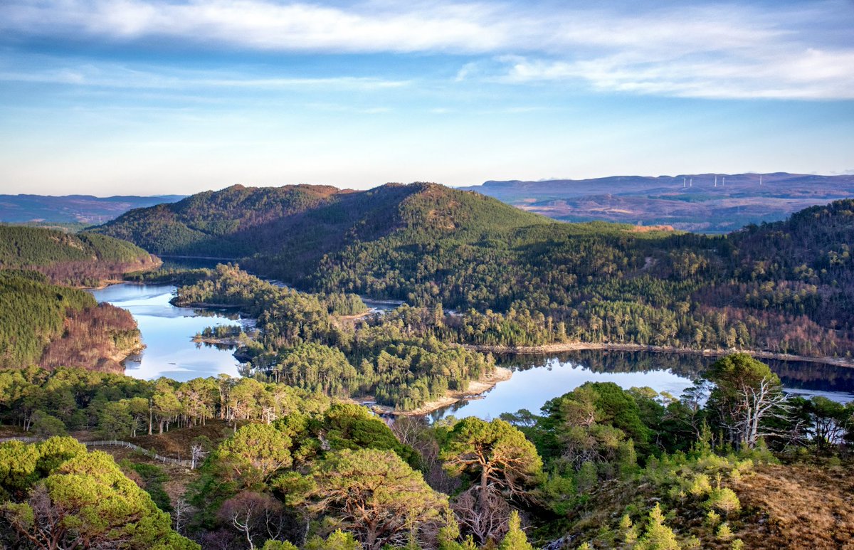 contiki's tweet image. Trees for Life, Contiki’s newest #MakeTravelMatter Experience, is a Highland's based rewilding charity dedicated to helping the Caledonian Forest regenerate. Read all about it below!
bit.ly/43UaQwu
#EarthDay #Contiki #Highlands