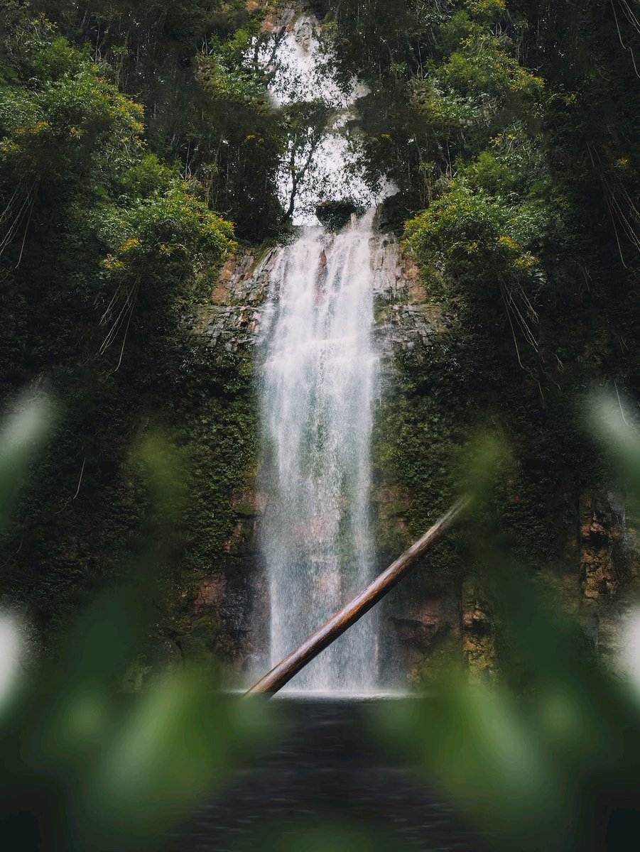 xanwara's tweet image. Living simple doesn't mean sacrificing quality of life. 

It means prioritizing what's important and eliminating excess. 

Spend time in nature, and cultivating meaningful relationships.

#livesimple #minimalism

Unsplash photos by: Pat Whelen