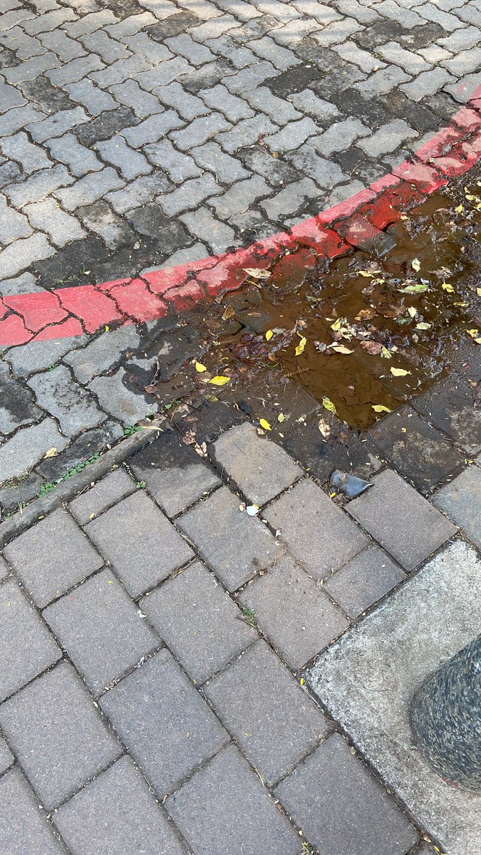 GuidoUrlings's tweet photo. @CityTshwane water leak under public sidewalk. Kirkness street, closest corner Bond Street, close to Loftus Versfeld. https://t.co/mS4n1l8Yqo