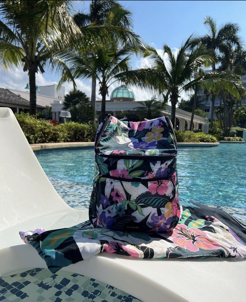 HaveToCookToEat's tweet image. Ready for some #poolside days? Update your #cooler and #poolbag with some @verabradley ! Code GRACIES10 glnk.io/5wx0l/gracie3  #verabradley #VBAmbassador #partner #verabradleystyle #blogger #graduationgift #pink #love #flowers #girlygirl #sale #video #fyp #foryourpage #foryou